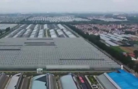 山東：一二三產融合發(fā)展 推動鄉(xiāng)村產業(yè)全鏈條升級