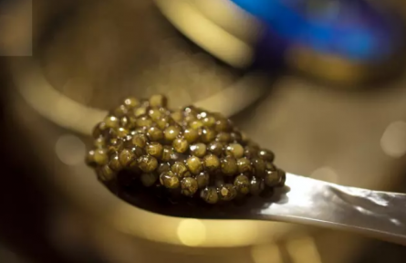 25萬一勺魚子醬，為何到中國淪為“白菜價(jià)”？外媒：你們“毀”了它