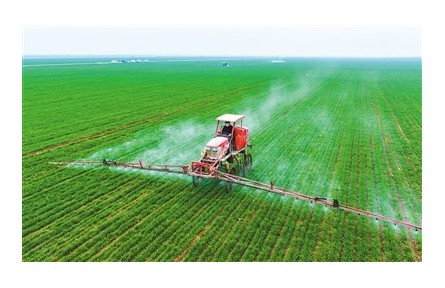 全力抓好糧食生產(chǎn)，嚴防“割青毀糧”