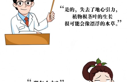 上天入地，沒(méi)有什么能阻止中國(guó)人種菜的腳步！