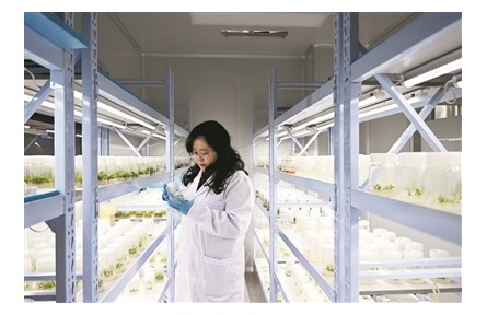 厚植沃土，為創(chuàng)新發(fā)展注入人才動力