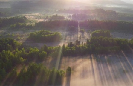 中國(guó)的植樹(shù)能力有多強(qiáng)？