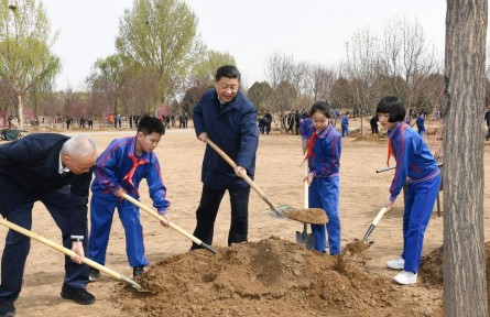 植樹節(jié)，跟著總書記一起種下綠色的希望