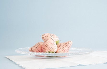 辟謠 | 白色草莓是轉(zhuǎn)基因水果嗎？