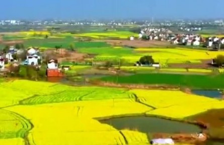 安徽：穩(wěn)面積 攻單產(chǎn) 各地春耕備耕有序推進