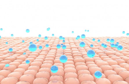 科技名詞 | 皮膚老化 skin aging，cutaneous aging