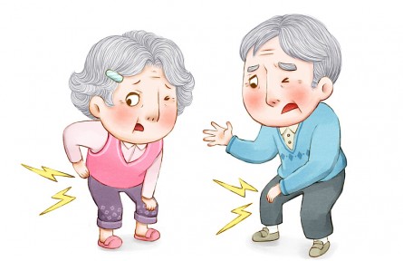 科技名詞 | 骨質(zhì)疏松  osteoporosis，OP