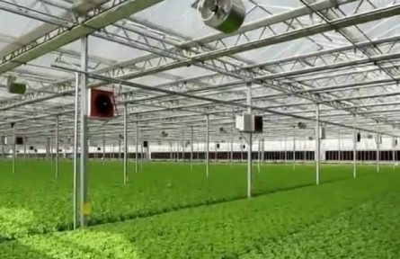 山東：發(fā)揮財政金融協(xié)同支農作用 助力農業(yè)產業(yè)發(fā)展綠色轉型