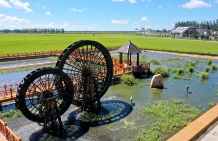 黑龍江：大興農場“一畝田”打開營銷新格局