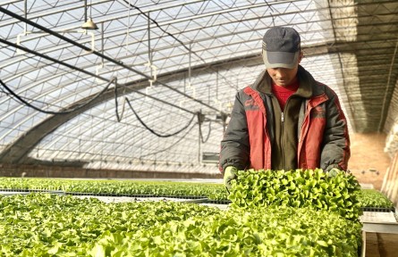 立春：鄉(xiāng)土里的萌動(dòng)