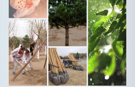 時(shí)政新聞眼 | 在今年首都義務(wù)植樹現(xiàn)場(chǎng)，習(xí)近平這三句話飽含深意