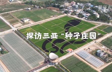 探訪(fǎng)三亞“種子莊園”