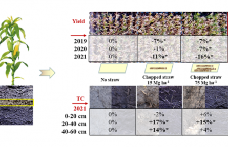 科研團隊研發(fā)出秸稈顆粒化高量還田技術(shù) 可快速培肥土壤助力增產(chǎn)