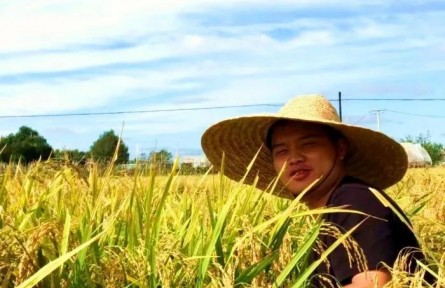 哈工大博士生曾德永“種水稻”，種上天了！