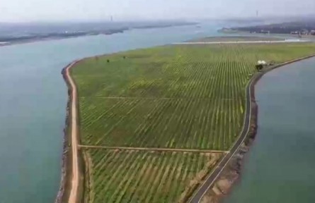 江西：科技小院譜寫農業(yè)“大文章”