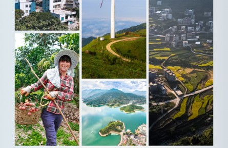 時政新聞眼 | 廣東考察第二天，習(xí)近平重點聚焦這個村