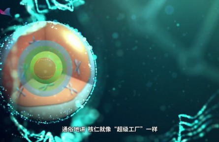 科普 | 上海科學(xué)家發(fā)現(xiàn)核糖體RNA“超級工廠”的運行新機制