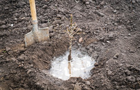 “不留一寸荒山”——陜西宜川“懸崖造林隊(duì)”種樹(shù)記