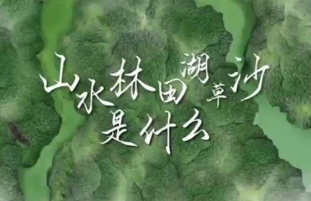 世界地球日 | 山水林田湖草沙是什么？