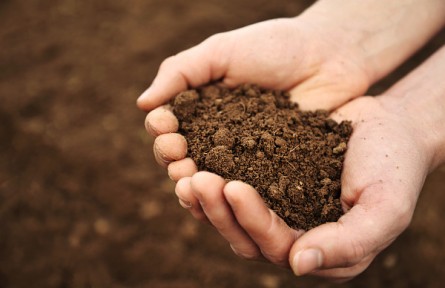 為大地問診把脈，有種無法言說的幸福