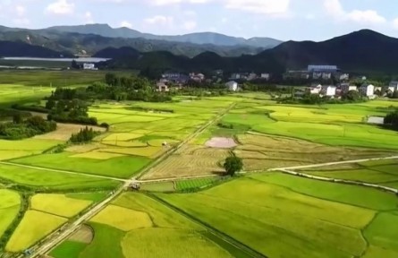 檢察機關(guān)啟動參與糧食購銷領(lǐng)域腐敗問題專項整治工作