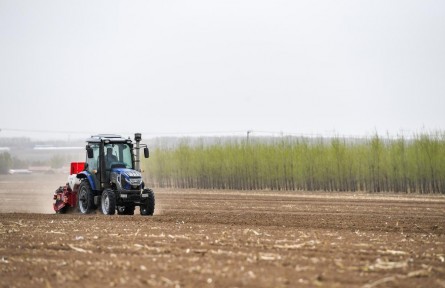 如何守護好“耕地中的大熊貓”？——東北三省糧食生產(chǎn)蹲點調(diào)研之三
