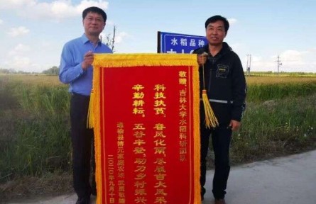 吉林大學(xué)水稻育種團(tuán)隊：育一粒好種 產(chǎn)中國好糧