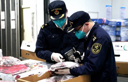 快準(zhǔn)入、優(yōu)服務(wù)、速通關(guān)——寧波海關(guān)護(hù)航中東歐國家優(yōu)質(zhì)食品進(jìn)口