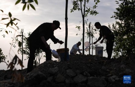 爺孫三代接力種樹(shù)25載 3000畝荒山變林海