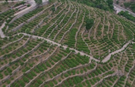 北京門頭溝：推進高標準農(nóng)田建設 促進農(nóng)業(yè)高質量發(fā)展