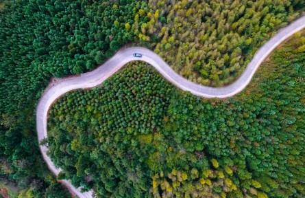 縣融記者：鄉(xiāng)村“美”了 日子“甜”了