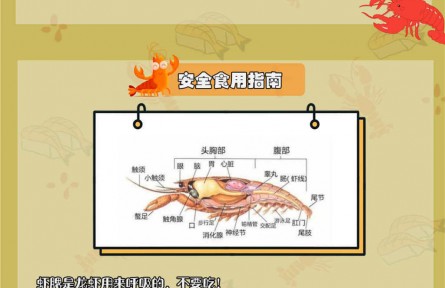 小龍蝦自帶寄生蟲(chóng)？體內(nèi)藏著重金屬？吃小龍蝦原來(lái)有這些講究