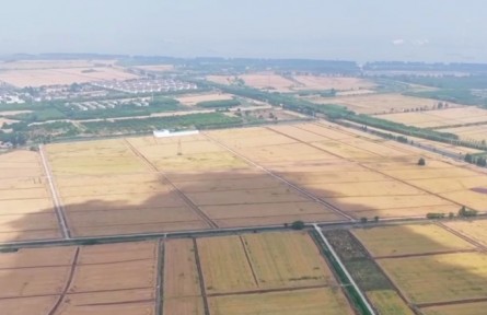 【在希望的田野上】春播糧食近尾聲 主產(chǎn)區(qū)麥?zhǔn)贞懤m(xù)開始