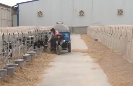 新疆兵團：畜禽養(yǎng)殖為鄉(xiāng)村振興添活力