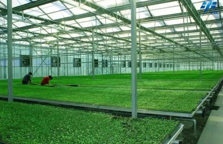 航天育種溫室，了解一下