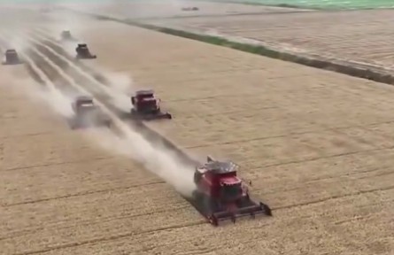 【在希望的田野上】“三夏”大規(guī)模小麥機收全面展開