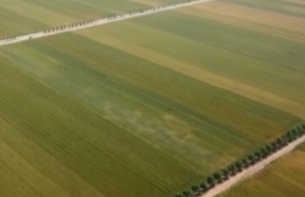 山東青島：牢記“國(guó)之大者” 保障糧食安全