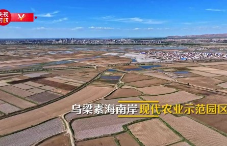 習近平內蒙古行|建好現代農業(yè)園區(qū) 帶動農業(yè)高質量發(fā)展——走進烏梁素海南岸現代農業(yè)示范園