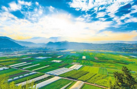 強農興川——踐行習近平經濟思想調研行