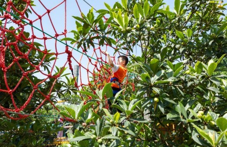 有“顏值”，更有“產(chǎn)值”——浙江杭州臨平美麗鄉(xiāng)村走訪見聞