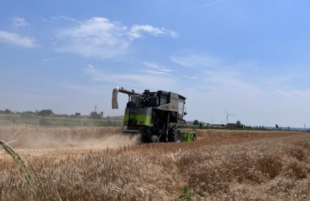 開心、安心、放心——山西小麥主產(chǎn)區(qū)夏收見聞