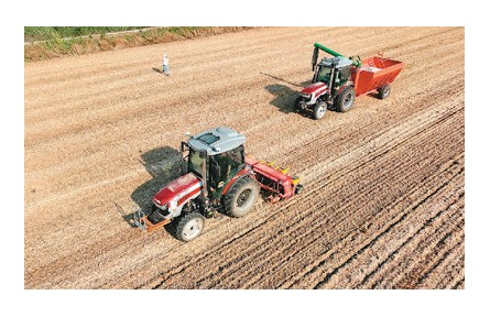 擴大豆，中國持續(xù)提升自給率