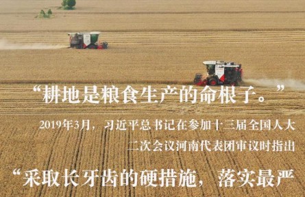 習(xí)近平總書記關(guān)切事|藏糧于地、藏糧于技，筑牢豐收之基