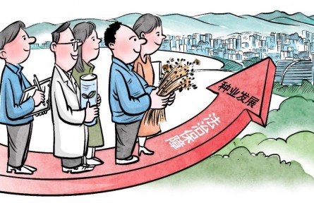 海南自由貿易港促進種業(yè)發(fā)展若干規(guī)定施行 投向種業(yè)領域的科技創(chuàng)新券可跨省通兌