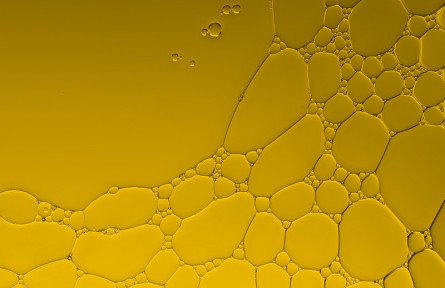 科技名詞 | 脂類  lipid