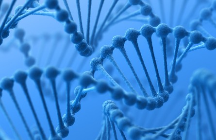 科技名詞 | 酵母人工染色體 yeast artificial chromosome，YAC