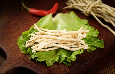 魚腥草是“害人草”含有一級(jí)致癌物？來(lái)看真相