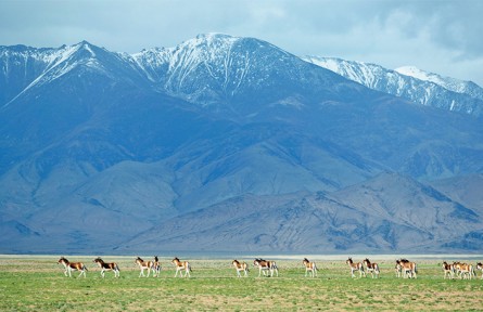 以美麗中國建設全面推進人與自然和諧共生的現(xiàn)代化