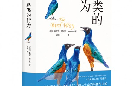 妙趣橫生的鳥類私生活，顛覆你的傳統(tǒng)認知