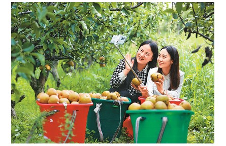 電商發(fā)展好 農(nóng)貨賣(mài)得俏